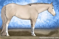 Horse Color:White Spotted Chocolate Palomino Pearl 