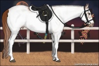 Horse Color:White Spotted Chestnut Frame 