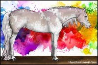 Horse Color:Watercolor White Spotted Silver Buckskin 