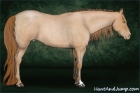 Horse Color:Bay Roan Pearl