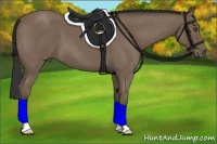 Horse Color:Buckskin Roan 