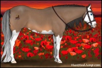 Horse Color:Buckskin Roan Splash 