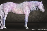 Horse Color:Watercolor Silver Brown Ice 