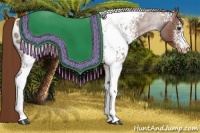 Horse Color:White Spotted Red Roan Blanket 