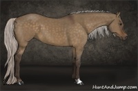 Horse Color:Silver Brown Dun