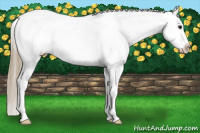 Horse Color:Smoky Blue Roan Splash Varnish