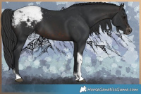 Horse Color:Brown Tobiano Snowcap 