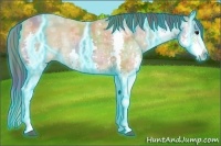 Horse Color:Nacre Thunderstruck Bay Ice Roan Splash 