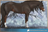 Horse Color:Liver Chestnut 