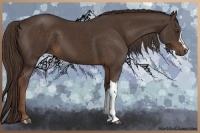 Horse Color:Liver Chestnut 