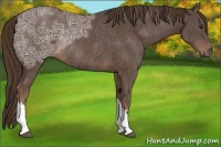 Horse Color:Liver Chestnut Ice Rabicano