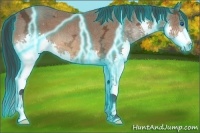 Horse Color:Thunderstruck Bay Ice Splash 