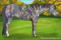 Horse Color:Nacre Blue Ice Roan 