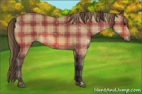 Horse Color:Plaid  Buckskin