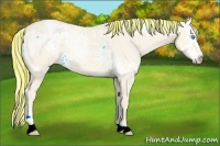 Horse Color:Painted Cremello Ice Dun 