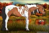 Horse Color:Bay Tobiano 
