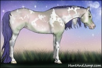 Horse Color:Watercolor White Spotted Amber Champagne Onyx 