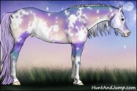 Horse Color:Watercolor White Spotted Silver Bay Onyx 