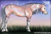Horse Color:Watercolor White Spotted Bay Onyx Sabino Splash 