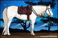 Horse Color:White Spotted Smoky Creme Dun Splash