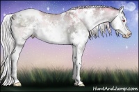 Horse Color:White Spotted Chocolate Silver Grullo Chinchilla Ice Splash