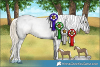 Horse Color:Chestnut Mushroom Appaloosa 