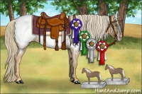 Horse Color:Chestnut Appaloosa 