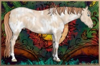 Horse Color:White Spotted Buckskin Pearl 