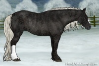 Horse Color:Liver Chestnut Ice Rabicano