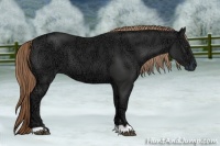Horse Color:Liver Chestnut Ice 