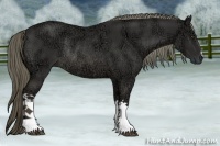 Horse Color:Liver Chestnut Ice Rabicano