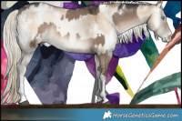 Horse Color:White Spotted Liver Red Dun Mushroom Splash Rabicano  and White Spotted Chocolate Palomino Pearl Onyx Mushroom Rabicano 