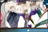 Horse Color:White Spotted Liver Red Dun Mushroom Splash Rabicano and White Spotted Chocolate Palomino Pearl Onyx Mushroom Rabicano