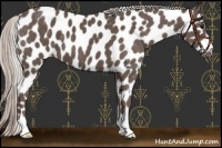 Horse Color:Silver Black Leopard