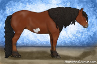 Horse Color:Gray Bay Frame 