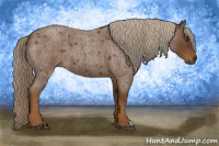 Horse Color:Gray Palomino Roan 