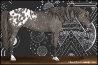 Horse Color:Smoky Black Appaloosa 