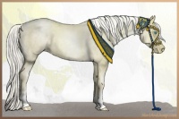 Horse Color:Palomino Pearl 