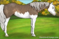 Horse Color:Silver Smoky Black Splash 