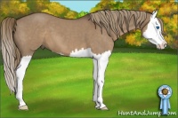 Horse Color:Liver Red Dun Roan Splash 