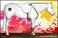 Horse Color:Silver Black Sabino Splash Rabicano 