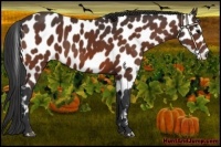 Horse Color:Bay Leopard 
