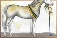 Horse Color:Liver Red Dun Onyx Splash Rabicano 