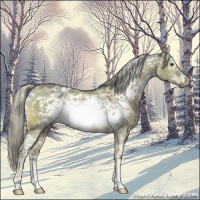 Horse Color:White Spotted Chocolate Palomino Ice Dun Mushroom Sabino Frame Rabicano 