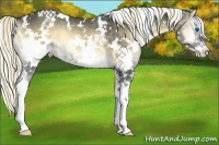 Horse Color:White Spotted Liver Red Onyx Splash 