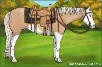 Horse Color:Silver Sable Champagne Splash 