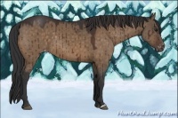 Horse Color:Brown Dun Varnish Brindle