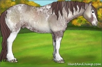 Horse Color:White Spotted Chocolate Smoky Blue Onyx Ice