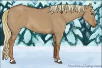 Horse Color:Red Dun Brindle