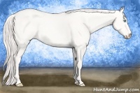 Horse Color:Cremello Dun 